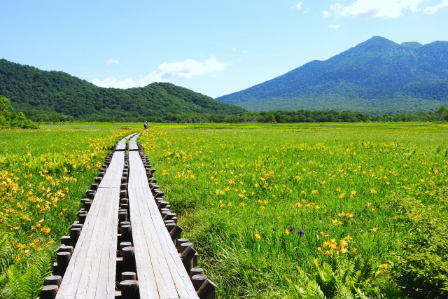 尾瀬ヶ原（群馬県）